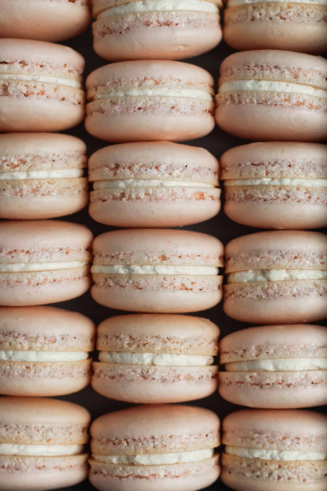 Vanilla Macaron-3