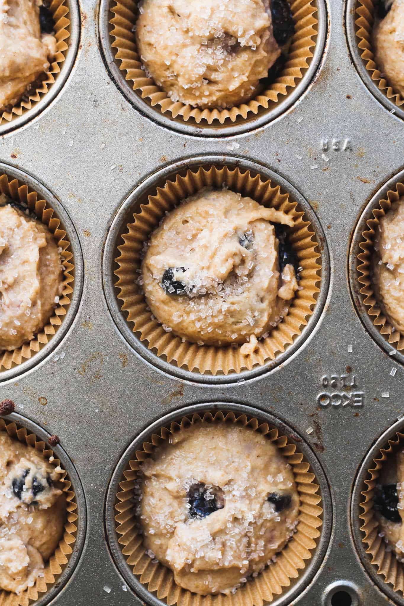 Whole Wheat Blueberry Muffins-1