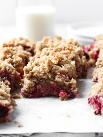 Side view of plum bars cut into squares.