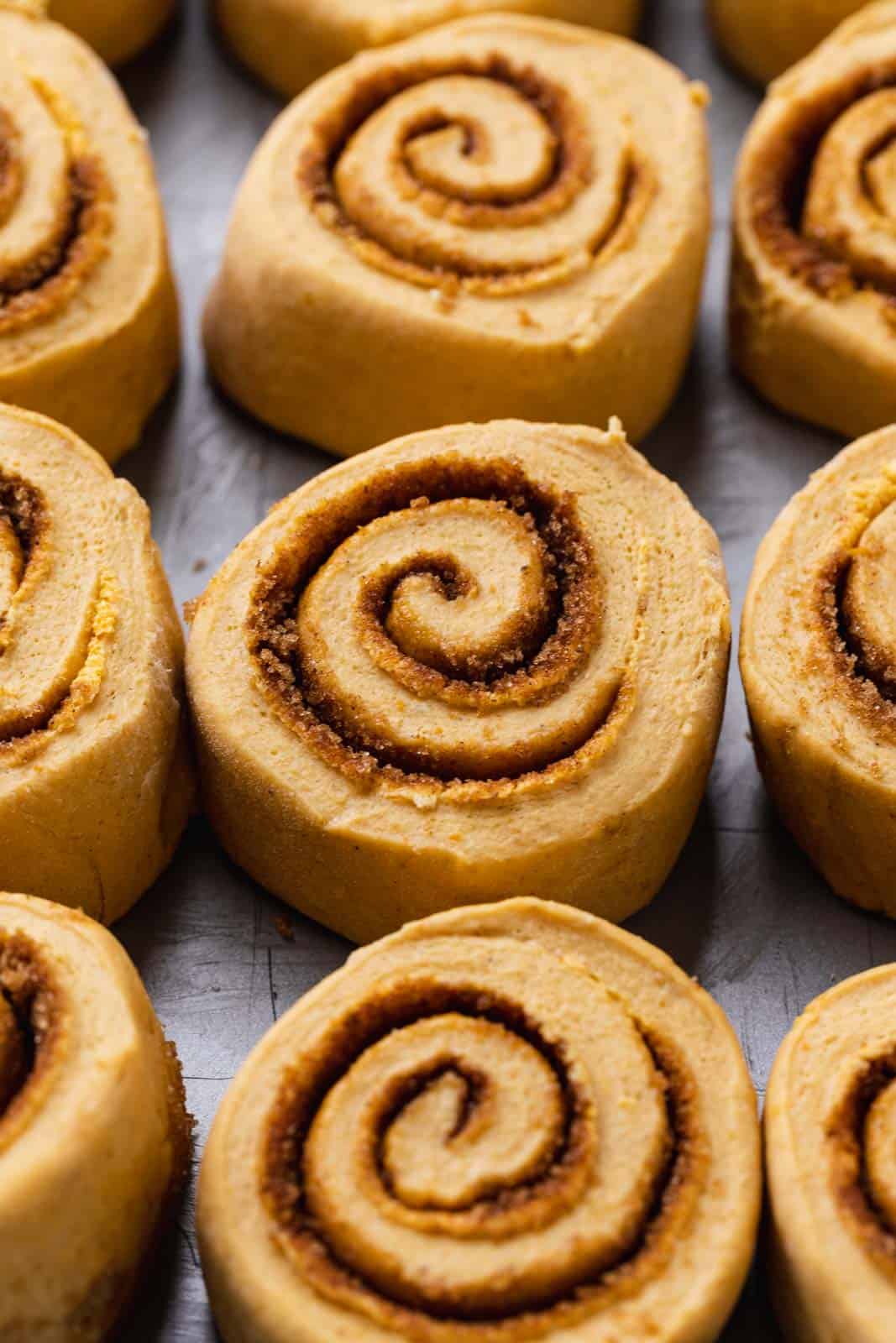 Rolled and cut pumpkin cinnamon rolls arranged unbaked in a greased pan.