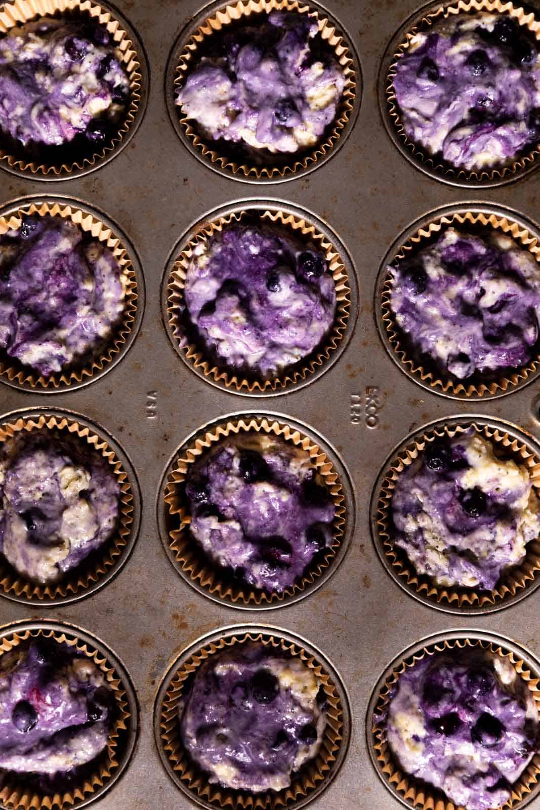 Wild blueberry lemon poppy seed muffin batter filled in muffin cups in a muffin tin.