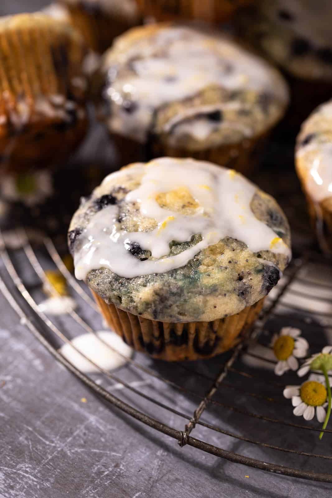 Close up of a wild blueberry lemon poppy seed muffins on a round cooling rack.